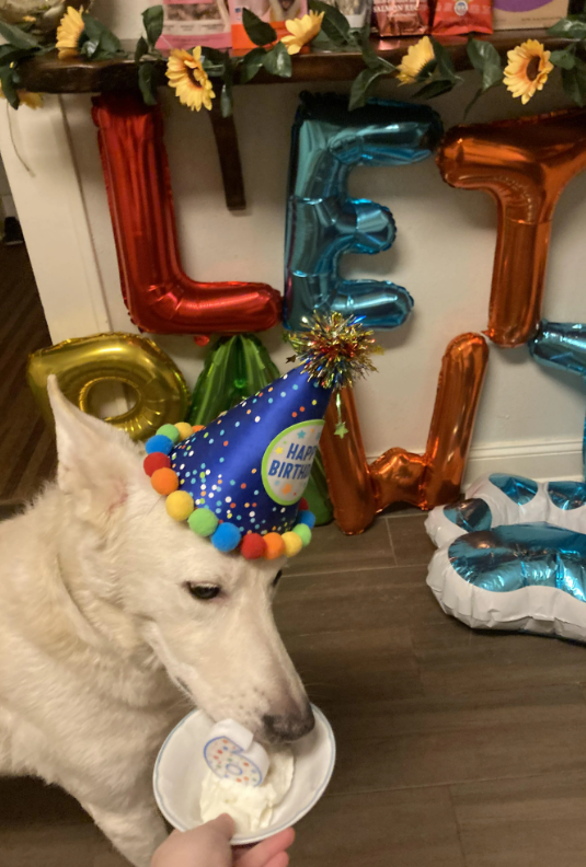 HAP BIRTH