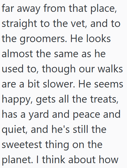 far away from that place, straight to the vet, and to the groomers. He looks almost the same as he used to, though our walks are a bit slower. He seems happy, gets all the treats, has a yard and peace and quiet, and he's still the sweetest thing on the planet. I think about how
