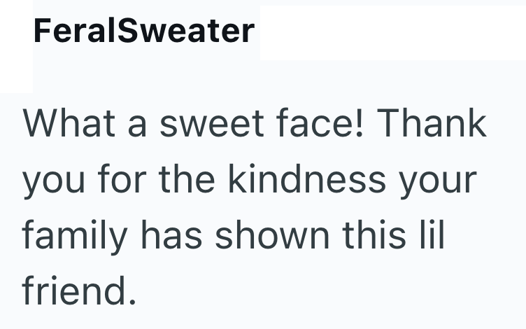 FeralSweater What a sweet face! Thank you for the kindness your family has shown this lil friend.