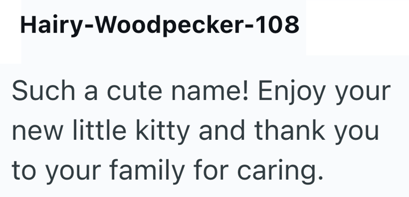 Hairy-Woodpecker-108 Such a cute name! Enjoy your new little kitty and thank you to your family for caring.