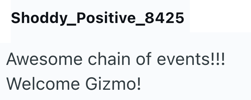 Shoddy_Positive_8425 Awesome chain of events!!! Welcome Gizmo!