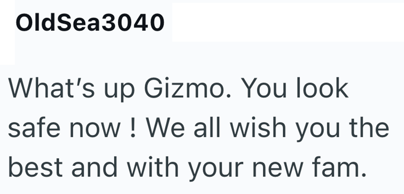 OldSea3040 What's up Gizmo. You look safe now! We all wish you the best and with your new fam.