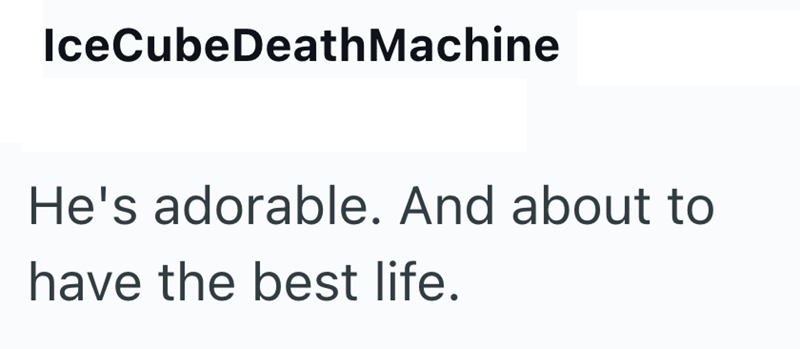 IceCubeDeathMachine He's adorable. And about to have the best life.
