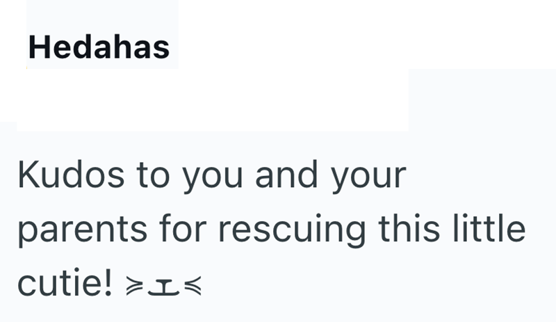 Hedahas Kudos to you and your parents for rescuing this little cutie! >1<