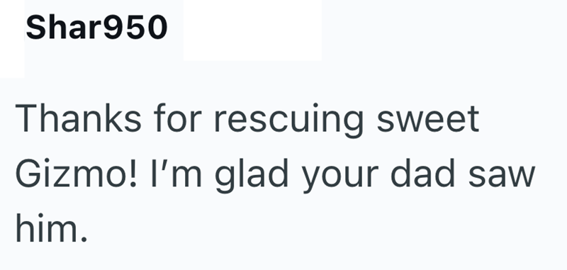 Shar950 Thanks for rescuing sweet Gizmo! I'm glad your dad saw him.