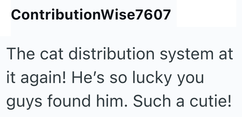 ContributionWise7607 The cat distribution system at it again! He's so lucky you guys found him. Such a cutie!