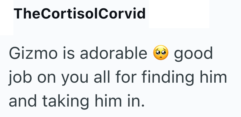 TheCortisolCorvid Gizmo is adorable good job on you all for finding him and taking him in.