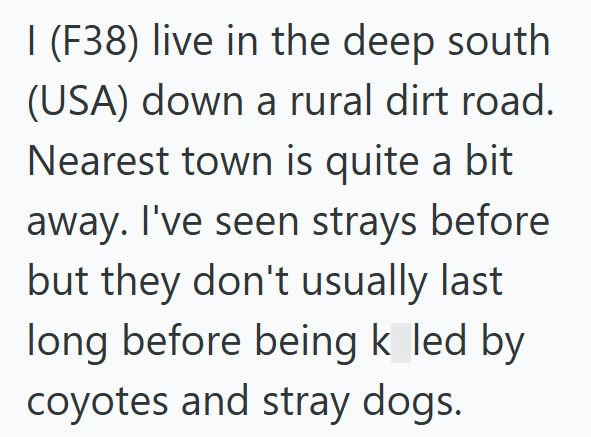 I (F38) live in the deep south. (USA) down a rural dirt road. Nearest town is quite a bit away. I've seen strays before but they don't usually last long before being k led by coyotes and stray dogs.