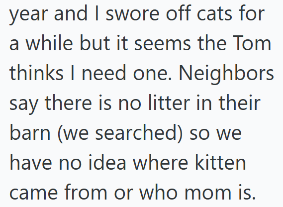 year and I swore off cats for a while but it seems the Tom thinks I need one. Neighbors say there is no litter in their barn (we searched) so we have no idea where kitten came from or who mom is.