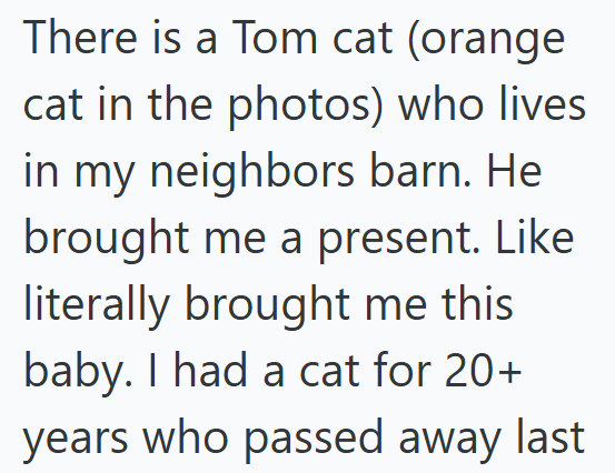 There is a Tom cat (orange cat in the photos) who lives in my neighbors barn. He brought me a present. Like literally brought me this baby. I had a cat for 20+ years who passed away last