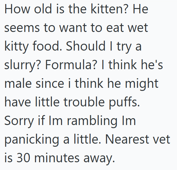 How old is the kitten? He seems to want to eat wet kitty food. Should I try a slurry? Formula? I think he's male since i think he might have little trouble puffs. Sorry if Im rambling Im panicking a little. Nearest vet is 30 minutes away.