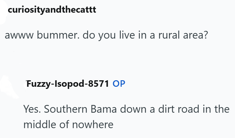 curiosityandthecattt awww bummer. do you live in a rural area? Fuzzy-Isopod-8571 OP Yes. Southern Bama down a dirt road in the middle of nowhere