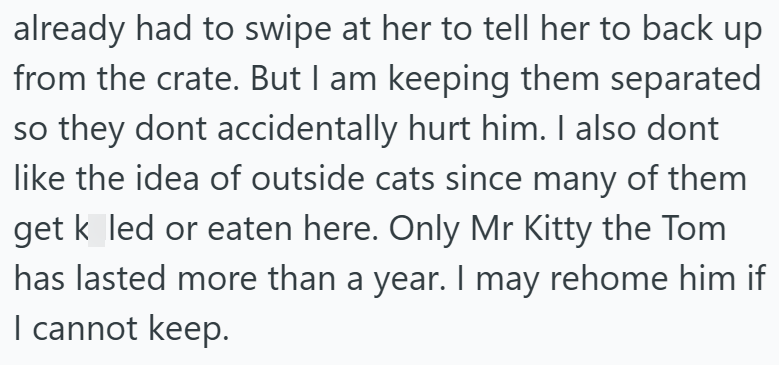 already had to swipe at her to tell her to back up from the crate. But I am keeping them separated so they dont accidentally hurt him. I also dont like the idea of outside cats since many of them get k led or eaten here. Only Mr Kitty the Tom has lasted more than a year. I may rehome him if I cannot keep.