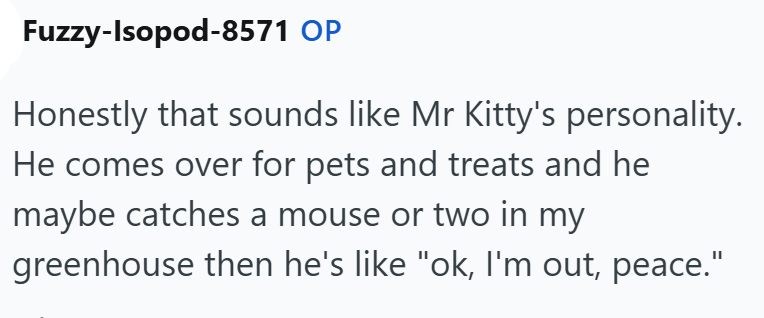 Fuzzy-Isopod-8571 OP Honestly that sounds like Mr Kitty's personality. He comes over for pets and treats and he maybe catches a mouse or two in my greenhouse then he's like "ok, I'm out, peace."