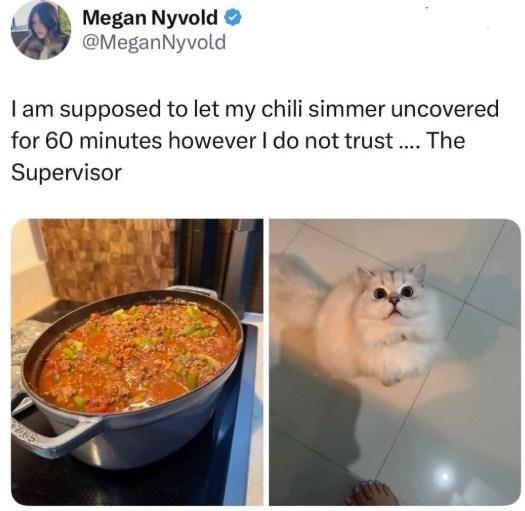 Megan Nyvold → @MeganNyvold I am supposed to let my chili simmer uncovered for 60 minutes however I do not trust.... The Supervisor