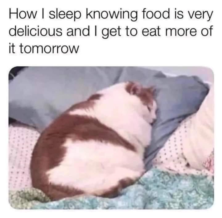 How I sleep knowing food is very delicious and I get to eat more of it tomorrow