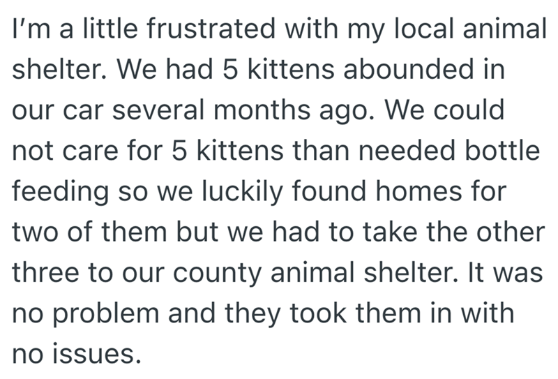 I'm a little frustrated with my local animal shelter. We had 5 kittens abounded in our car several months ago. We could not care for 5 kittens than needed bottle feeding so we luckily found homes for two of them but we had to take the other three to our county animal shelter. It was no problem and they took them in with no issues.