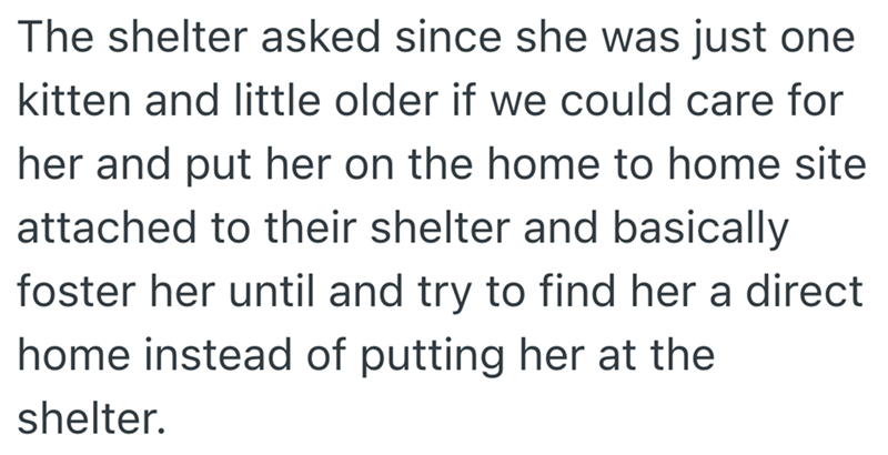 The shelter asked since she was just one kitten and little older if we could care for her and put her on the home to home site attached to their shelter and basically foster her until and try to find her a direct home instead of putting her at the shelter.