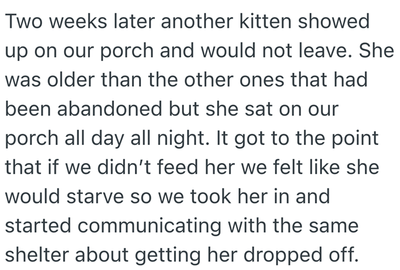 Two weeks later another kitten showed up on our porch and would not leave. She was older than the other ones that had been abandoned but she sat on our porch all day all night. It got to the point that if we didn't feed her we felt like she would starve so we took her in and started communicating with the same shelter about getting her dropped off.