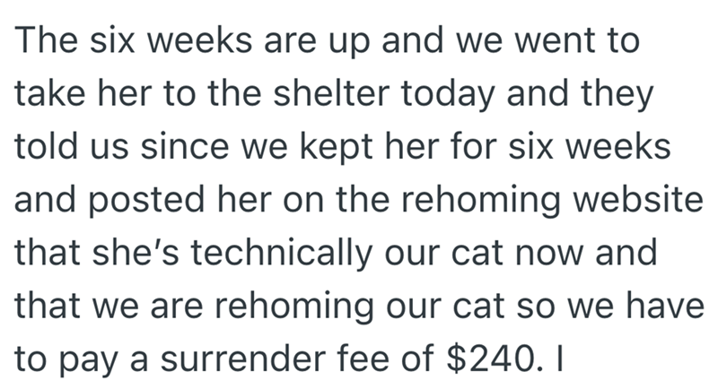 The six weeks are up and we went to take her to the shelter today and they told us since we kept her for six weeks and posted her on the rehoming website that she's technically our cat now and that we are rehoming our cat so we have to pay a surrender fee of $240. 1