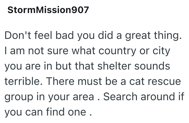 StormMission907 Don't feel bad you did a great thing. I am not sure what country or city you are in but that shelter sounds terrible. There must be a cat rescue group in your area. Search around if you can find one.