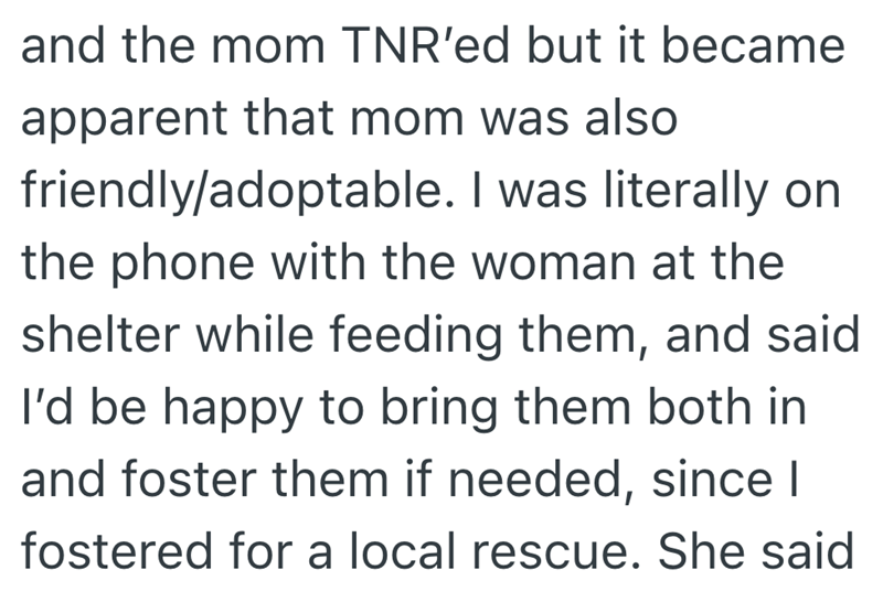 and the mom TNR'ed but it became apparent that mom was also friendly/adoptable. I was literally on the phone with the woman at the shelter while feeding them, and said I'd be happy to bring them both in and foster them if needed, since I fostered for a local rescue. She said
