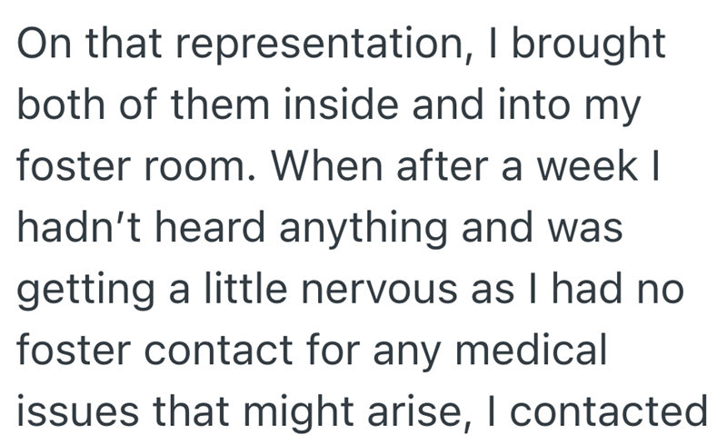 On that representation, I brought both of them inside and into my foster room. When after a week I hadn't heard anything and was getting a little nervous as I had no foster contact for any medical issues that might arise, I contacted