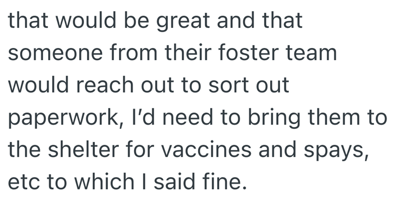that would be great and that someone from their foster team would reach out to sort out paperwork, I'd need to bring them to the shelter for vaccines and spays, etc to which I said fine.