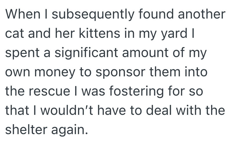 When I subsequently found another cat and her kittens in my yard I spent a significant amount of my own money to sponsor them into the rescue I was fostering for so that I wouldn't have to deal with the shelter again.