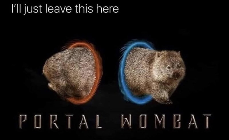I'll just leave this here PORTAL WOMBAT