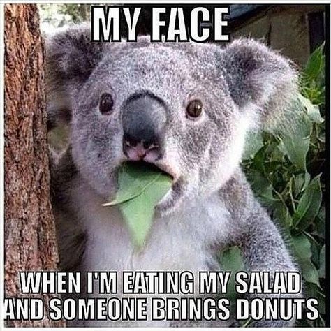 MY FACE WHEN I'M EATING MY SALAD AND SOMEONE BRINGS DONUTS