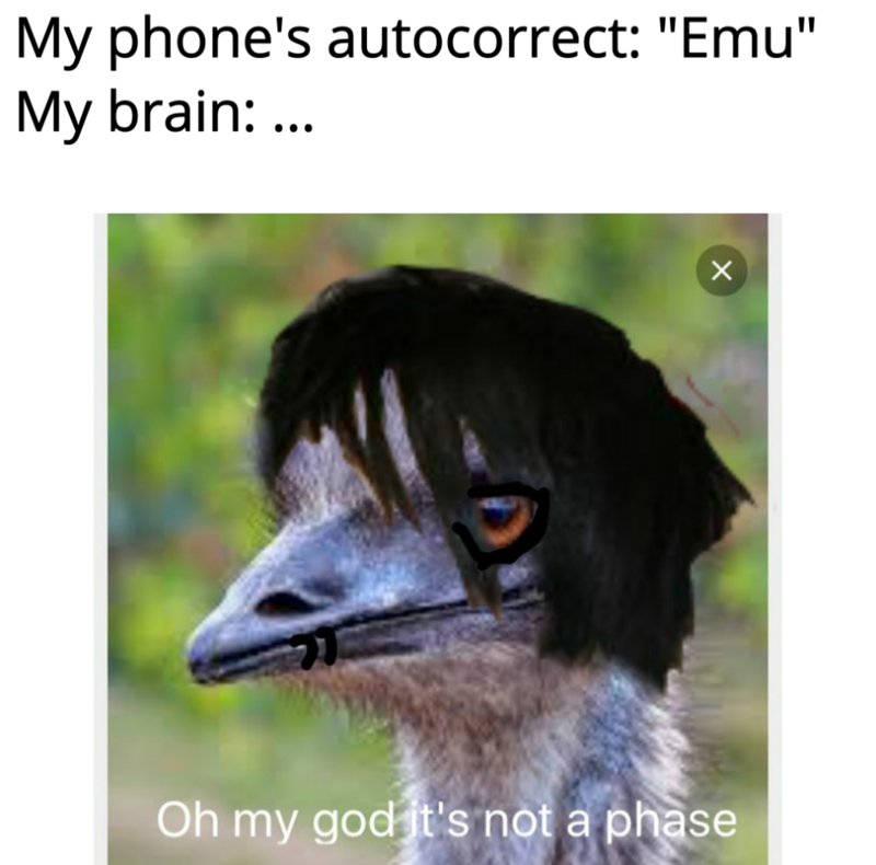 My phone's autocorrect: "Emu" My brain: ... × Oh my god it's not a phase