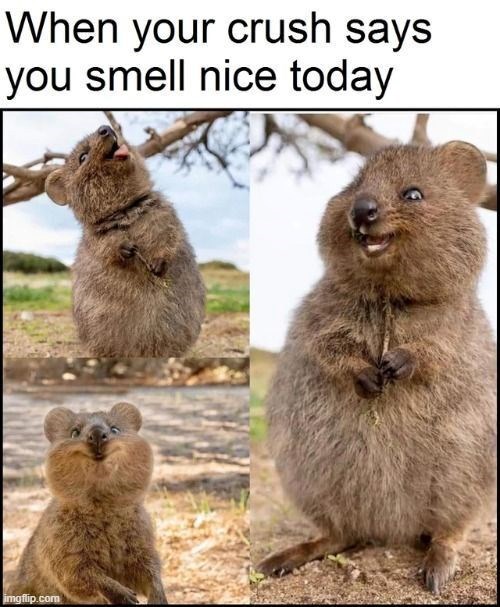When your crush says you smell nice today imgflip.com