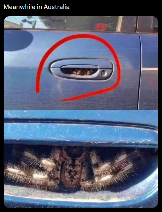 Meanwhile in Australia