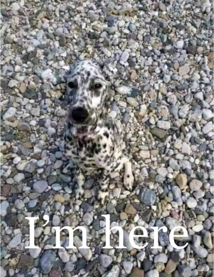 I'm here t