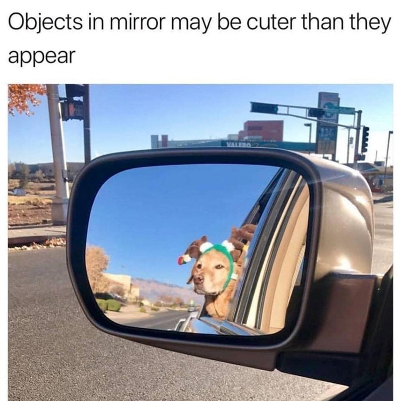 Objects in mirror may be cuter than they appear VALERO