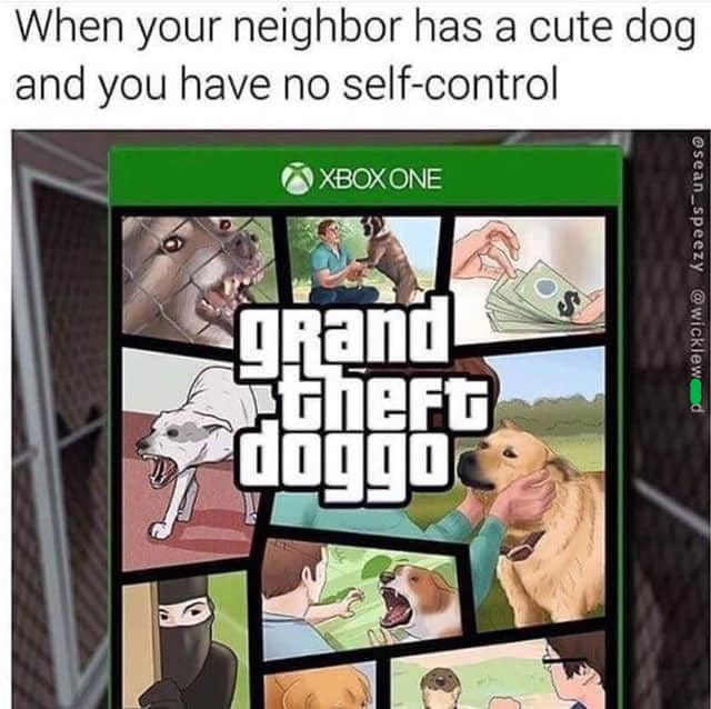 Osean speezy @wicklew d When your neighbor has a cute dog and you have no self-control. XBOX ONE grand thero оббор