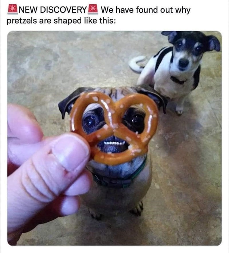 We have found out why NEW DISCOVERY pretzels are shaped like this: