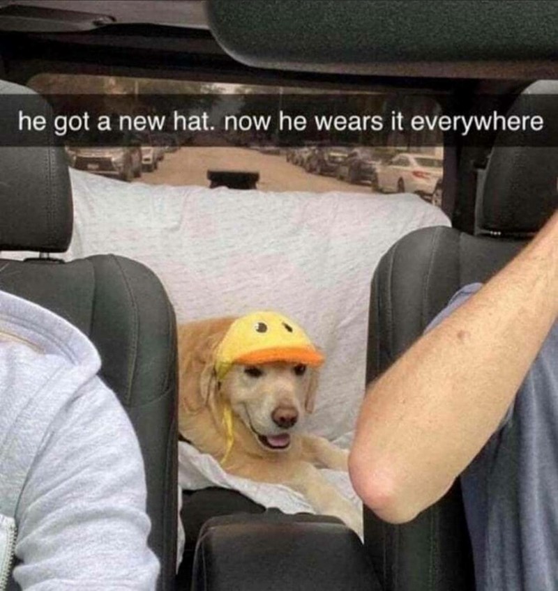 he got a new hat. now he wears it everywhere