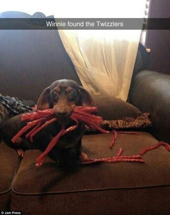Jam Press Winnie found the Twizzlers