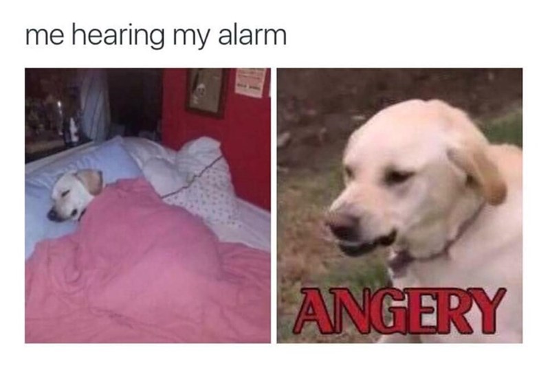 me hearing my alarm ANGERY