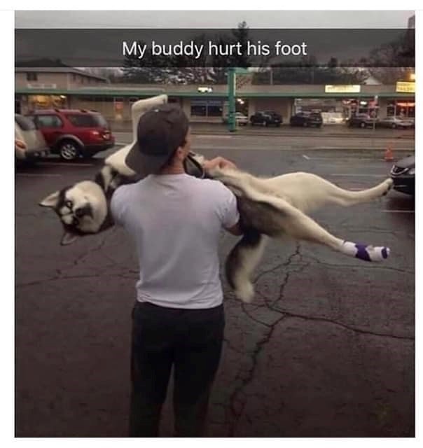 My buddy hurt his foot