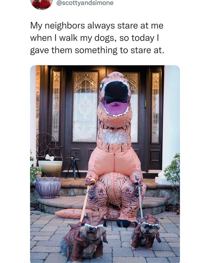 @scottyandsimone My neighbors always stare at me when I walk my dogs, so today I gave them something to stare at.