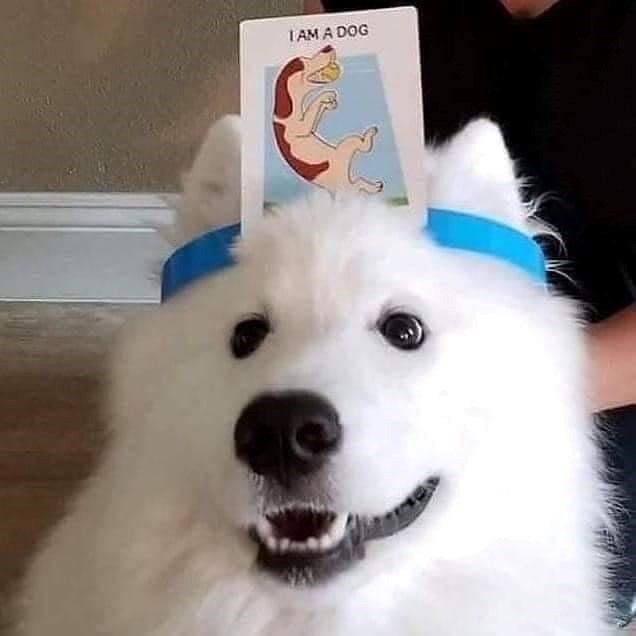 I AM A DOG