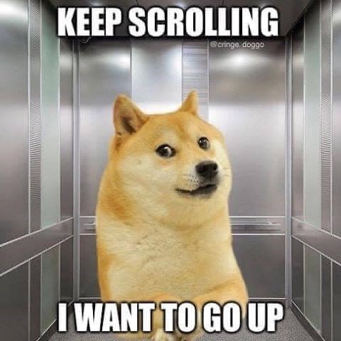 KEEP SCROLLING @cringe doggo I WANT TO GO UP