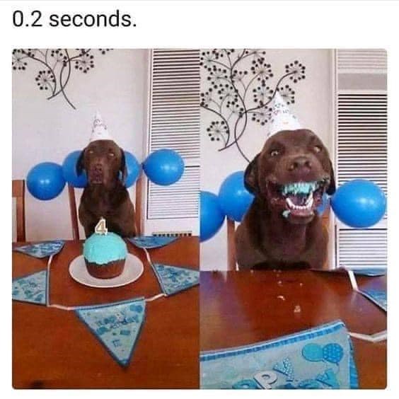 0.2 seconds.