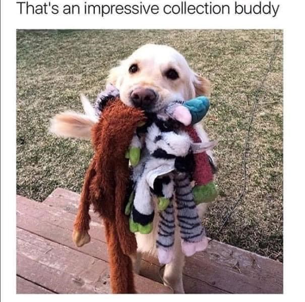 That's an impressive collection buddy
