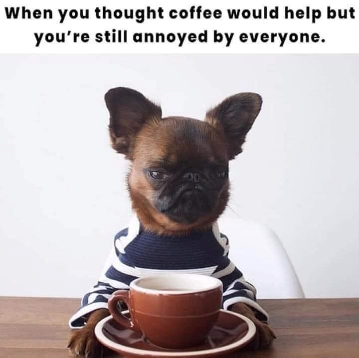 When you thought coffee would help but you're still annoyed by everyone.