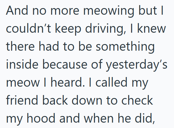 And no more meowing but I couldn't keep driving, I knew there had to be something inside because of yesterday's meow I heard. I called my friend back down to check my hood and when he did,