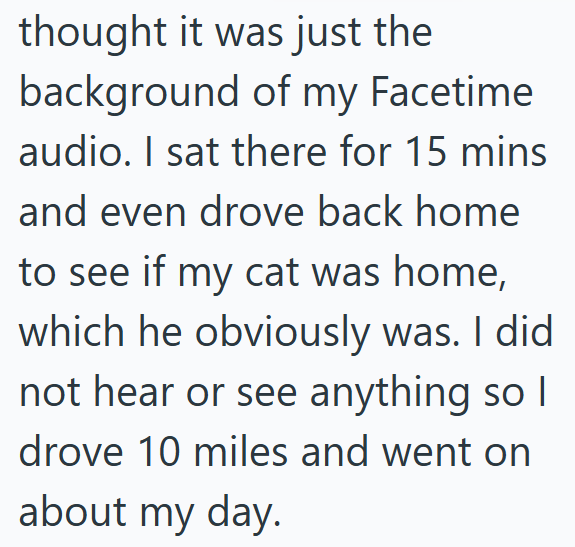 thought it was just the background of my Facetime audio. I sat there for 15 mins and even drove back home to see if my cat was home, which he obviously was. I did not hear or see anything so I drove 10 miles and went on about my day.